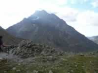 Pyrenaen Bild